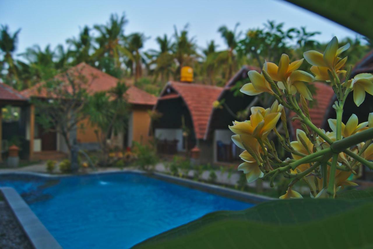 Hotel Ghamed Sari Exteriér fotografie